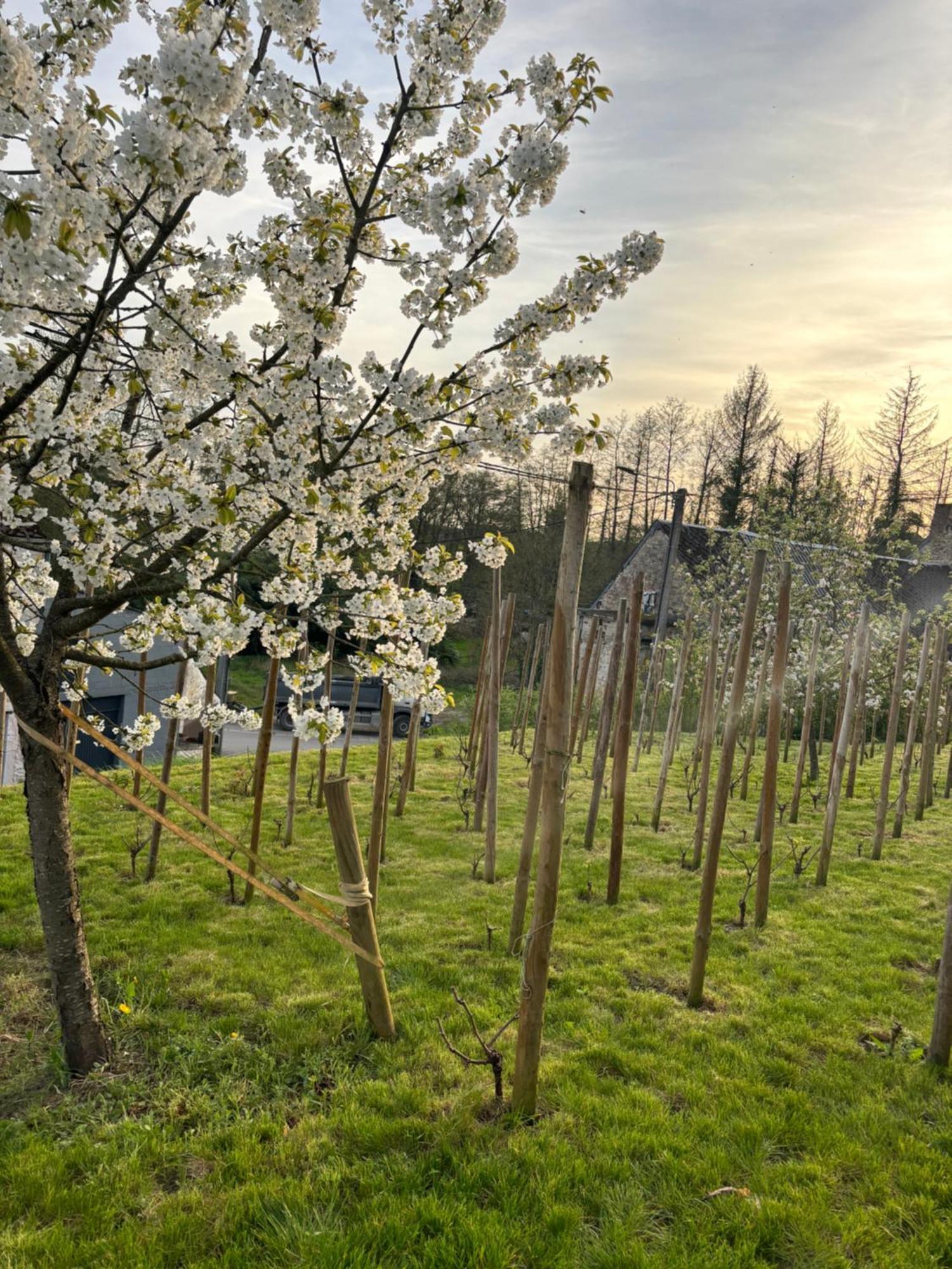 Le Gite Du Faubourg Sautour Esterno foto